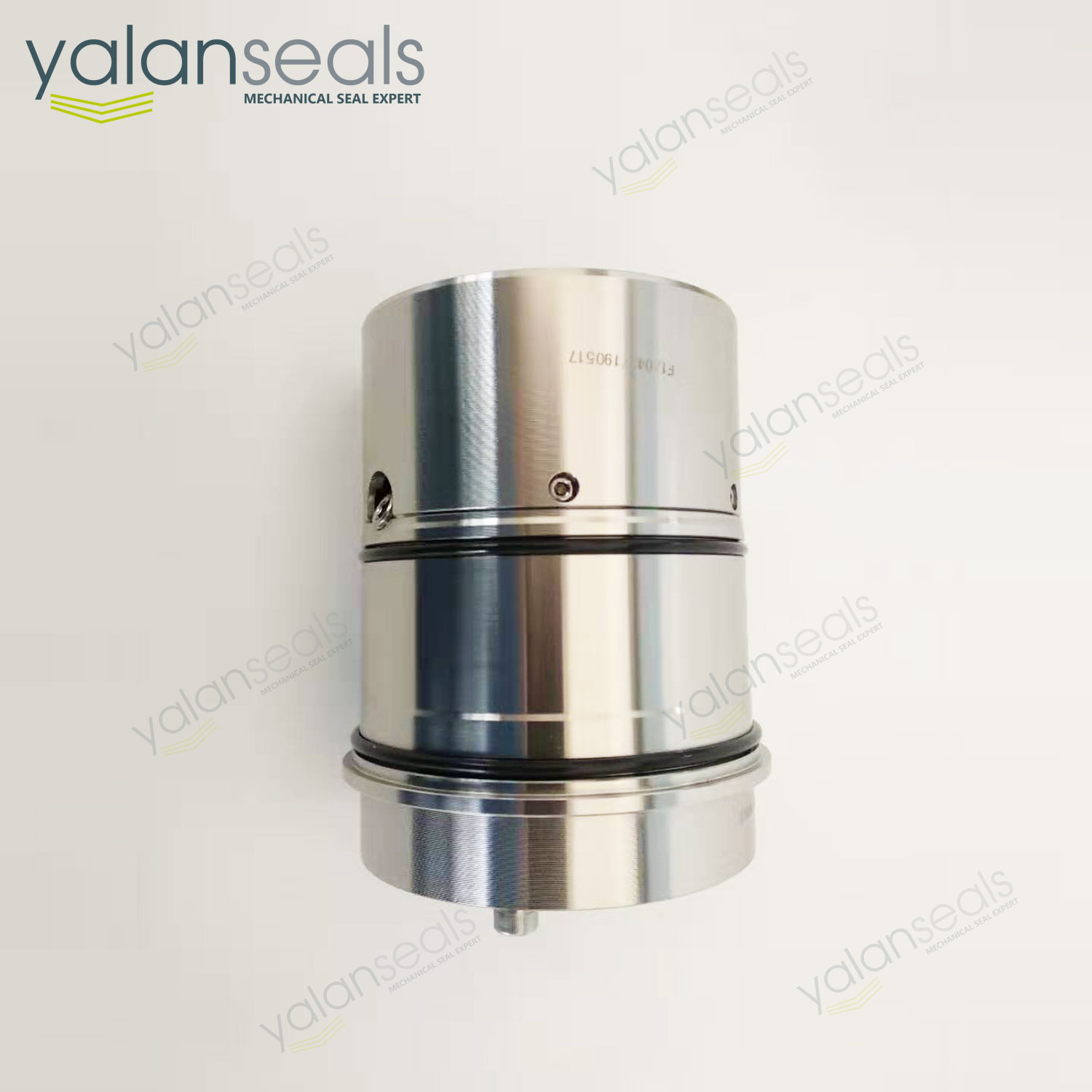 亞蘭SE2C型雙集裝式機械密封件